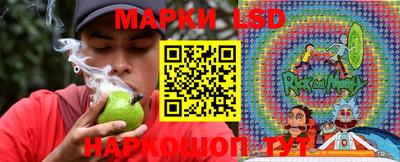 spice Камышлов