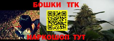 spice Камышлов