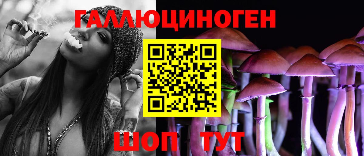 где можно купить наркотик  Галлюциногенные грибы Psilocybe  Вход с VPN  Люберцы 